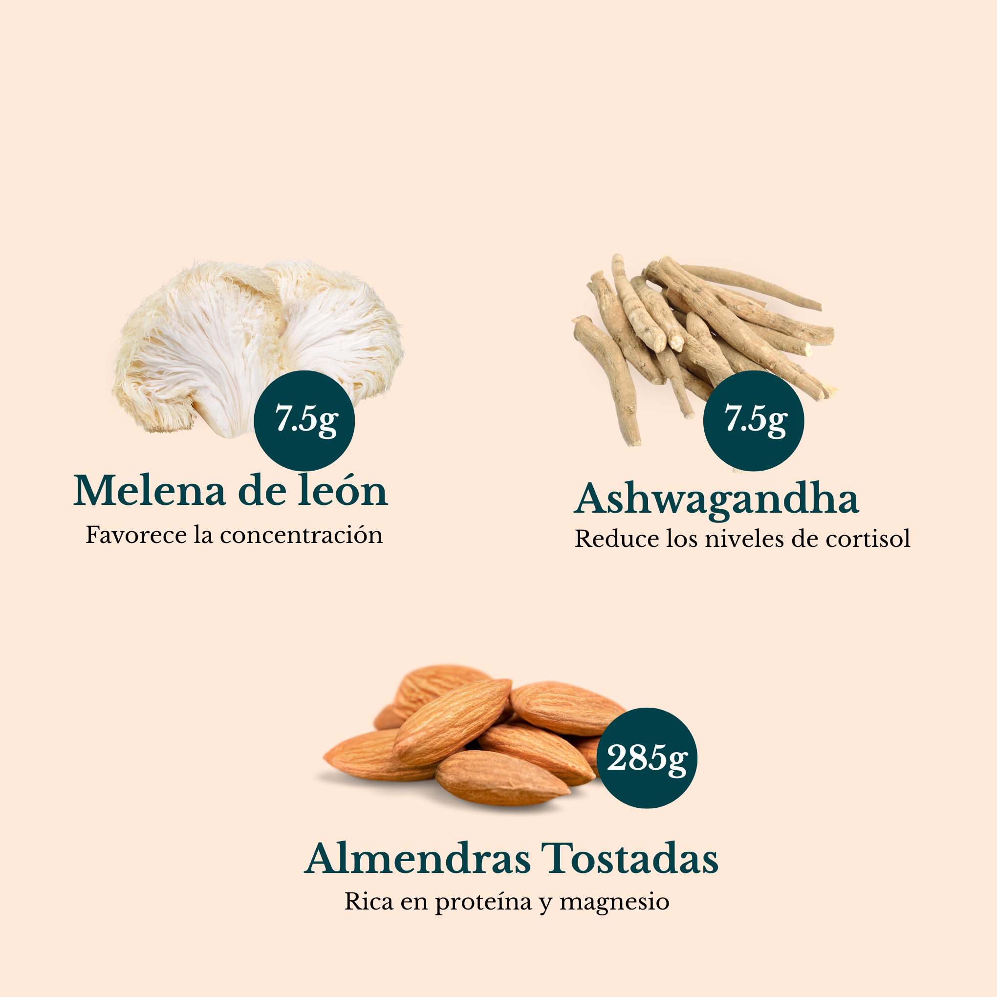 Con Ashwagandha & Melena de León